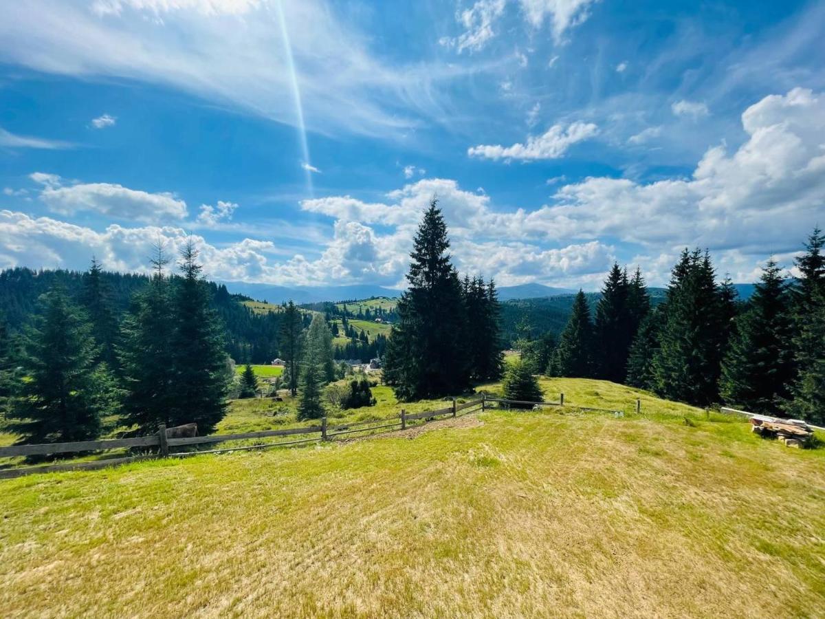 Lidia Chalets Polyanitsa Popovichevskaya Экстерьер фото